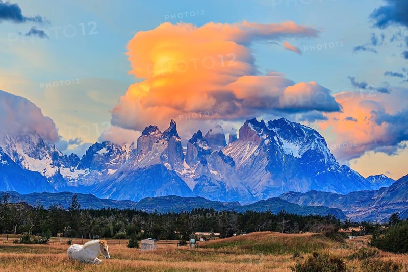 Incredible clouds illuminated by the sunset. The granite towers of Cuernos del Paine. White thoroughbred horses graze in tall grass. Chile. Torres del Paine National Park