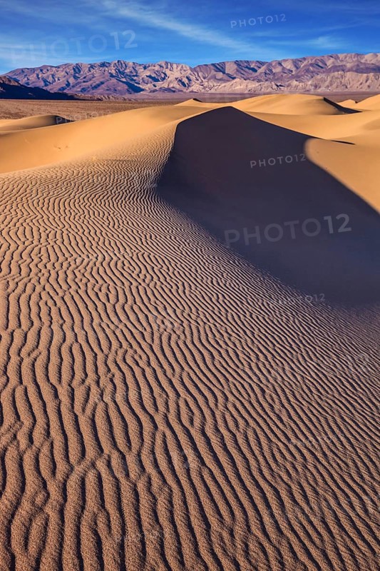 Bright solar morning in picturesque part of Death Valley. Slopes of sandy barkhans shine orange light. Deep shadows in flat hollows. Mesquite Flat Sand Dunes