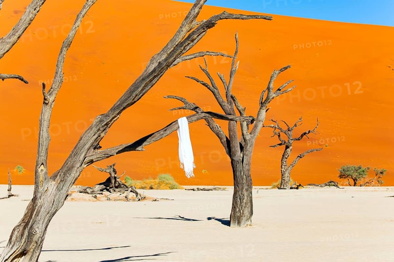 White shawl on petrified tree branches. Deadvlei in the Park Namib-Naukluft surrounded by the dunes of Sossusvlei. Namib Desert