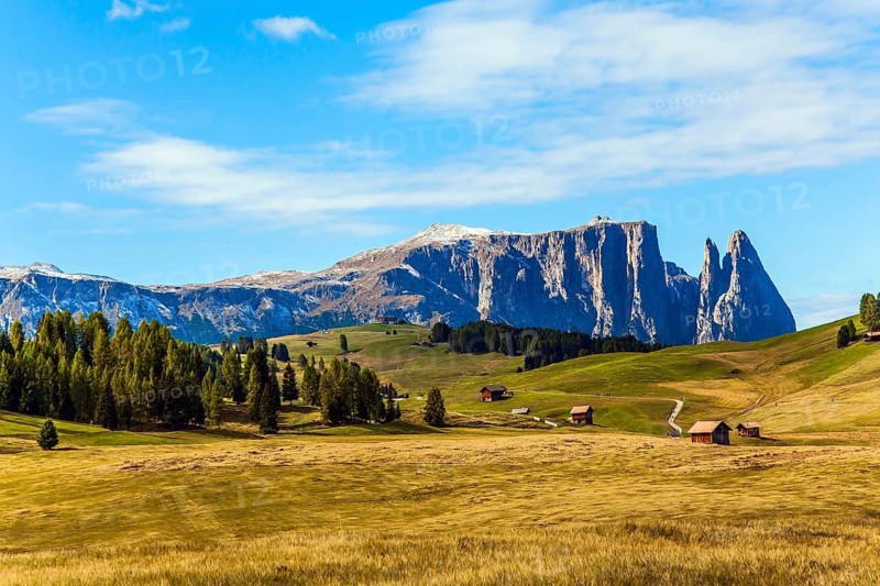 Coniferous forest in the Val Gardena valley, Italy. Beautiful day for hiking and taking photos. Alpe di Siusi is plateau in the Dolomites. Powerful ridge of rocks on the horizon. The concept of ecological and photo tourism