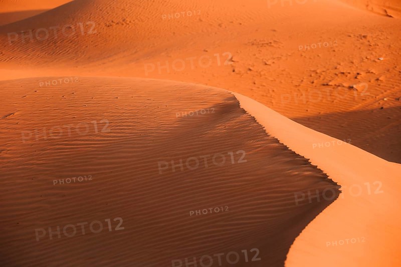 The Desert in Ras al Khaimah, United Arab Emirates, Asia