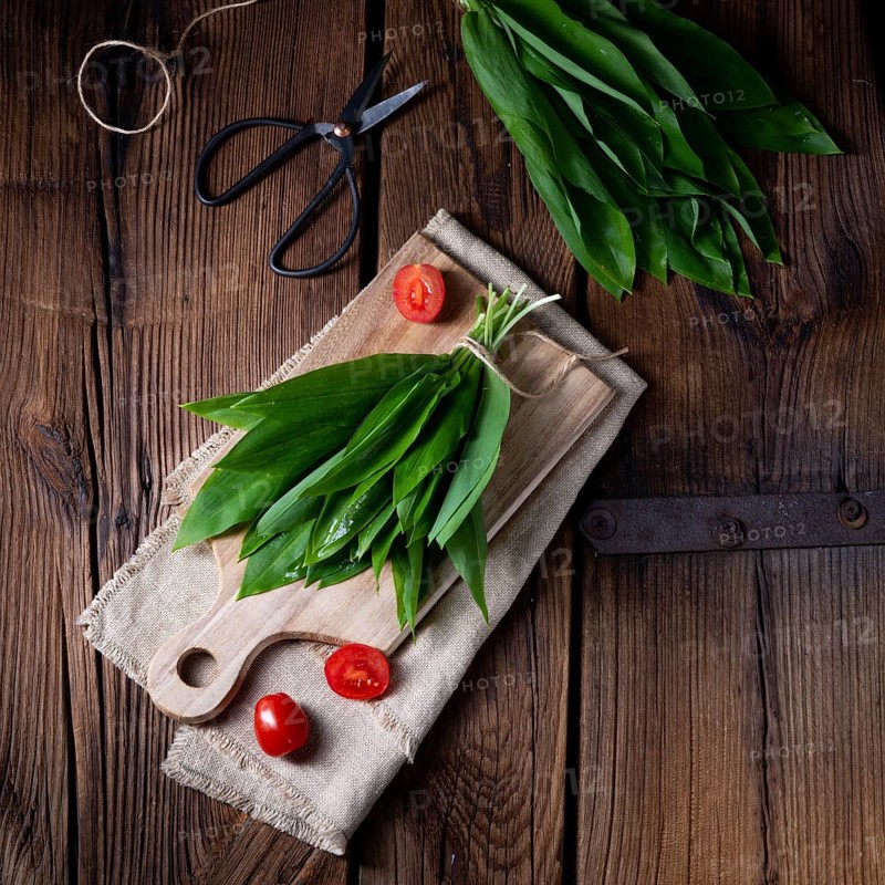 Allium ursinum fresh wild garlic with many valuable vitamins
