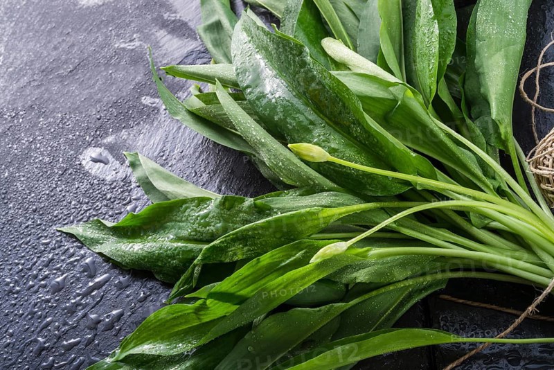 Bear's garlic