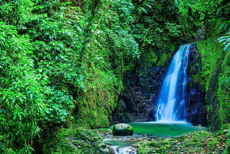 A view of Seven Sisters Waterfalls in the jungle on Grenada
