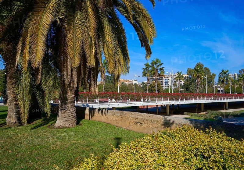 Valencia Puente de las Flores flowers bridge in Spain