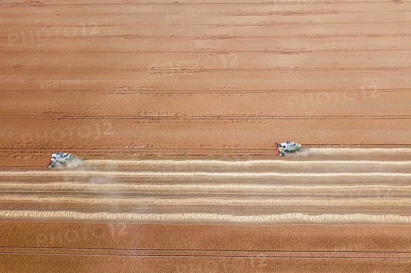 Combine harvester working on a wheat field. Combine harvester Aerial view