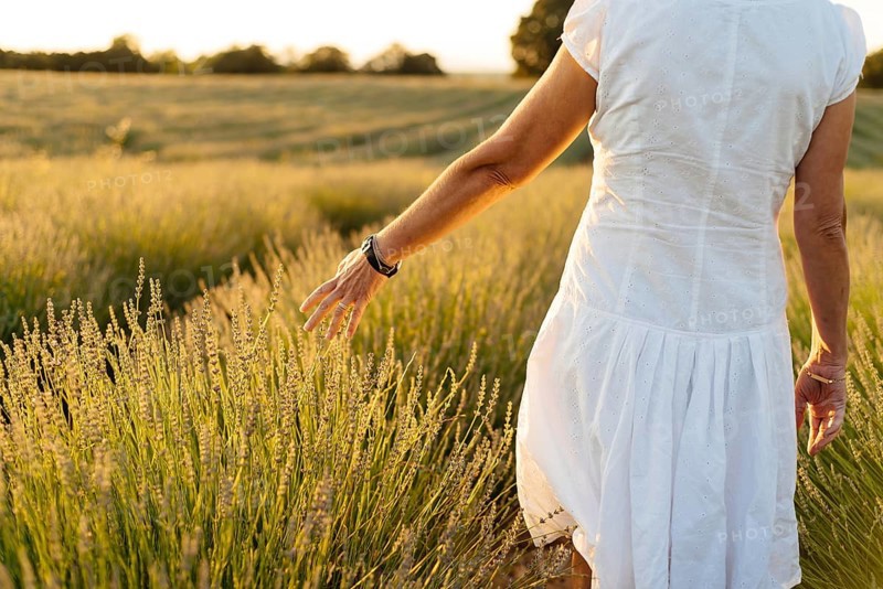 Beautiful woman in a white dress walks in the lavender field