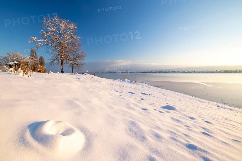 Snow-covered hilly landscape with trees and a frozen body of water under a clear sky, Seegarten, Allensbach, Lake Constance, Baden-Württemberg, Germany, Europe