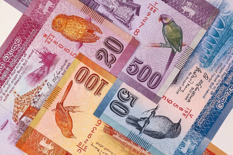 The symmetrical composition of Sri Lankan banknotes. Rupee, the national currency of Sri Lanka