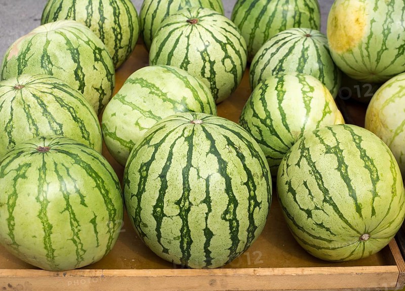 Big watermelon market display in a row delicious summer fruits