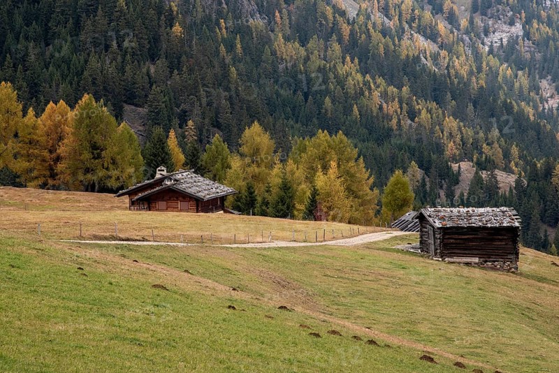 Wooden travel cabin tourist houses outdoor in the hill. Alpe di siusi Seiser alm Italy