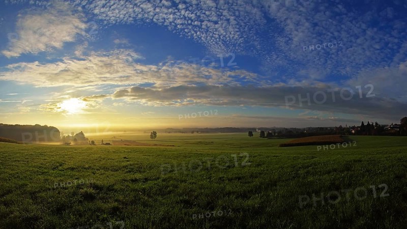 Morning atmosphere in the Altshausener Ried