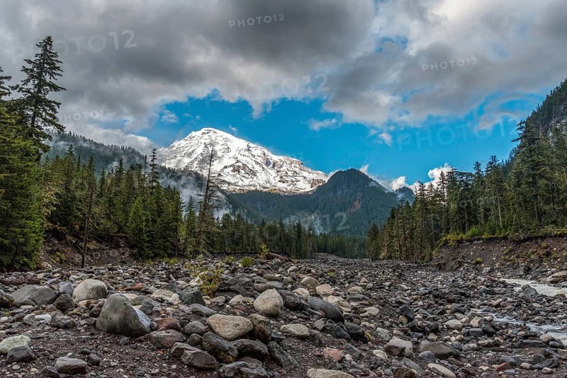 Great view on Mt Rainier from Nisqually river, USA, North America