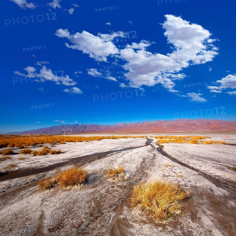 Death Valley National Park California Badwater salt soil desert