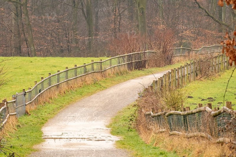 Peaceful countryside landscape featuring a winding gravel path, wooden fences, and lush green fields, creating a tranquil and inviting scene