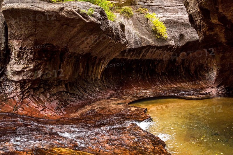 Magnificent Subway gorge landmark in the Zion National Park in Utah, USA, North America