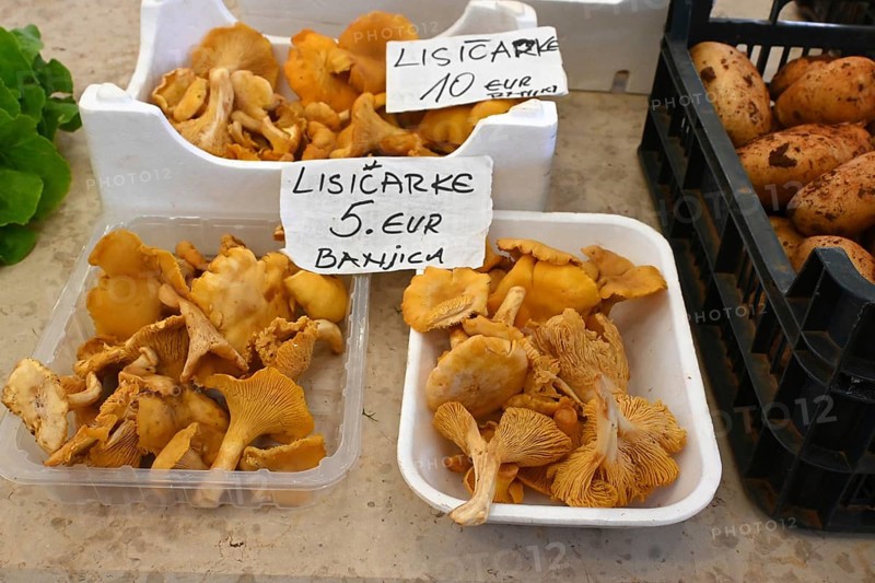 Chanterelles at the market (Cantharellus cibarius), Croatia, Europe