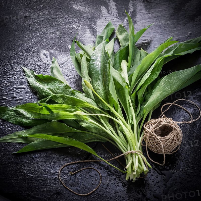 Bear's garlic
