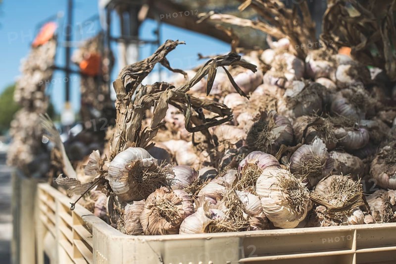 Braided dry garlic on the market in France. Close up