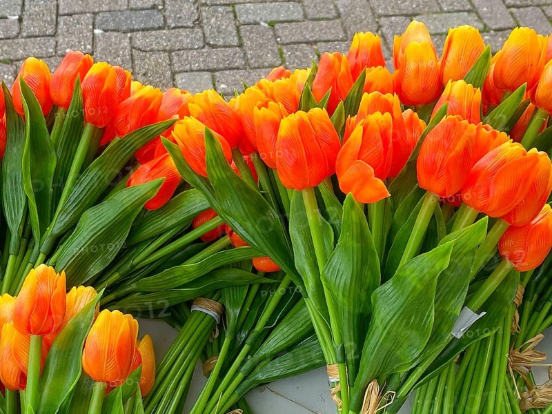 Wooden tulips in the shop in Volendam. Volendam is a town in North Holland, 20 kilometres north of Amsterdam. Sometimes called The pearl of the Zuiderzee