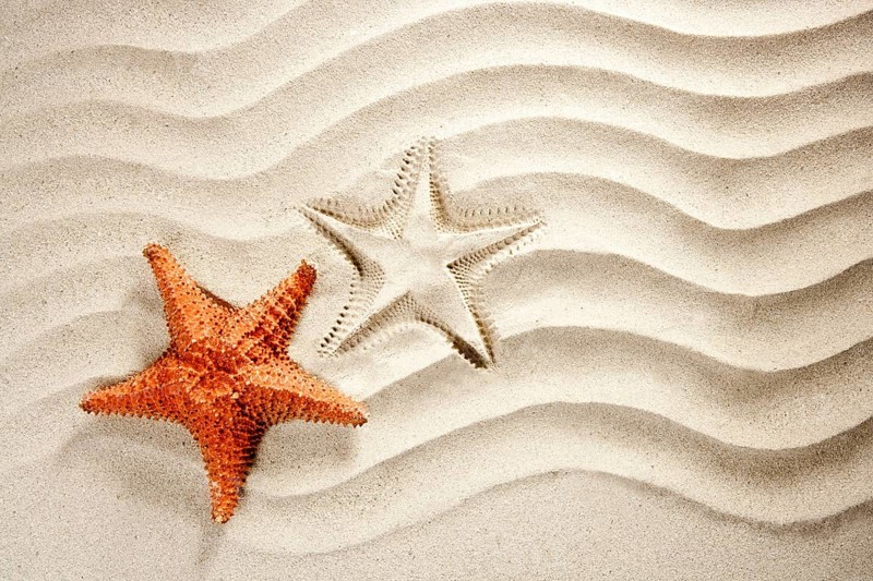 Beach white wavy sand with starfish such a summer vacation symbol