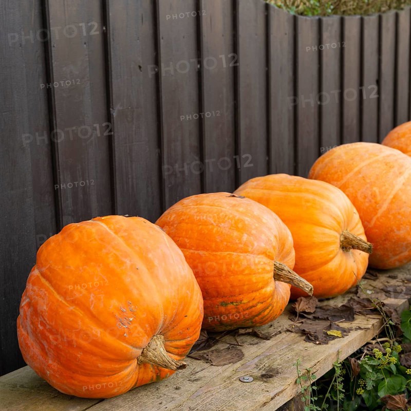 Boost autumn sales with pumpkin merchandising