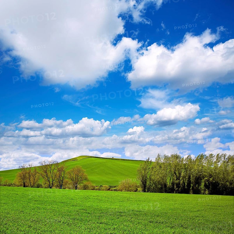 Cereal fields by The Way of Saint James in Castilla near Burgos