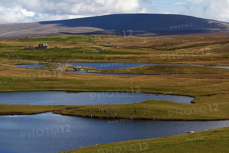 Landscape with Ronas Hill, Mainland, Shetland Islands, Scotland, United Kingdom, Europe