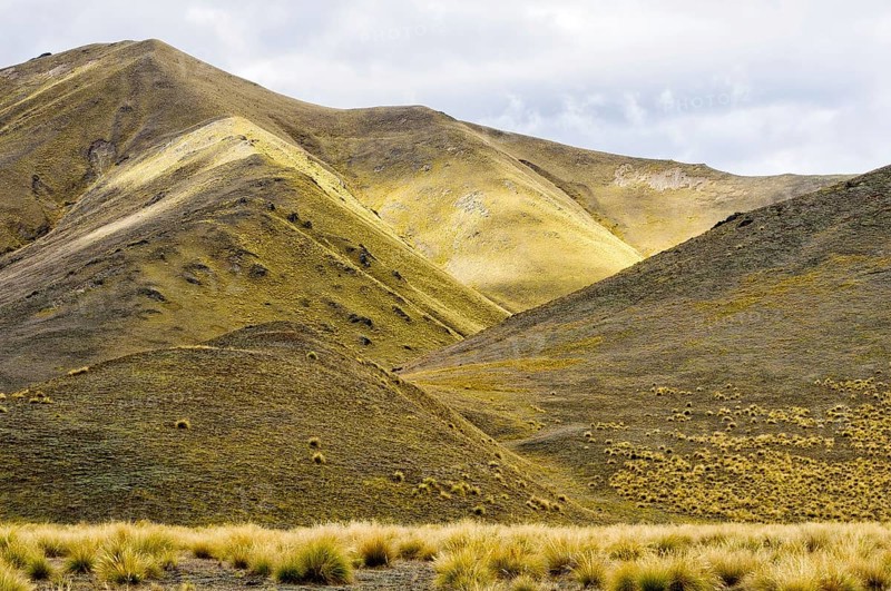 Tussocks and yellow rolling hills near Lindis Pass in Central Otago on the South Island of New Zealand