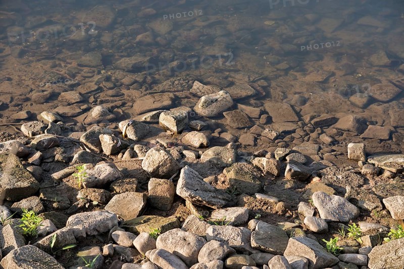 Shoreline of Weser River near Oberweser, Upper Weser Valley, Weser Uplands, Weserbergland, Hesse, Germany, Europe