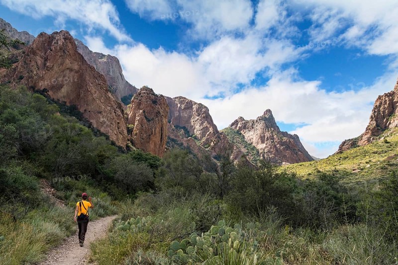 A hiker walking thtough the mountains of Big Bend National Park, USA, North America