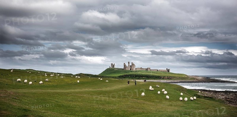 The ruins of Dunstanburgh Castle as seen from Craster along the shoreline of The North Sea, Northumberland County, England, United Kingdom, Europe