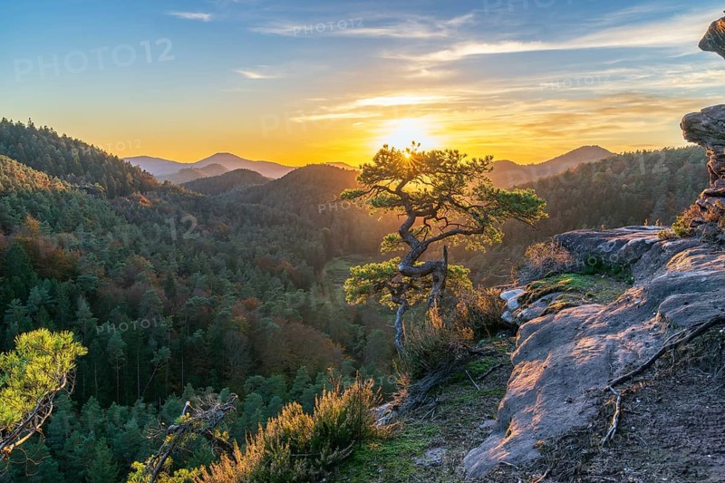Sunset in the Dahner Felsenland, Palatinate Forest, Rhineland-Palatinate, Germany, Europe