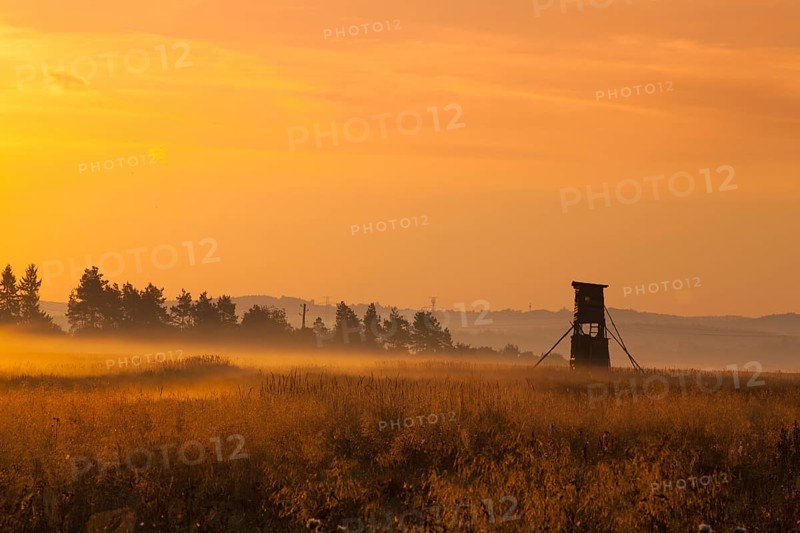 Hunting tower in the morning mist