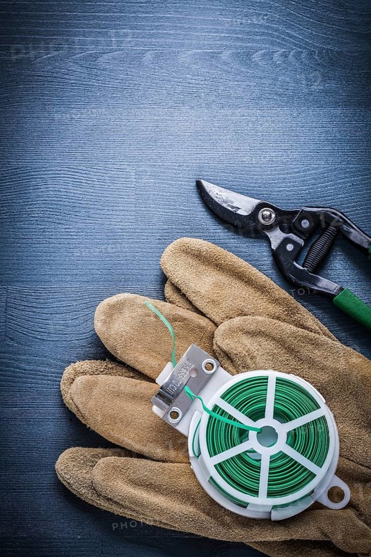 Safety glove green garden wire and secateurs