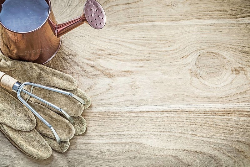 Watering can metal rake gardening gloves on wood board copy space agriculture concept