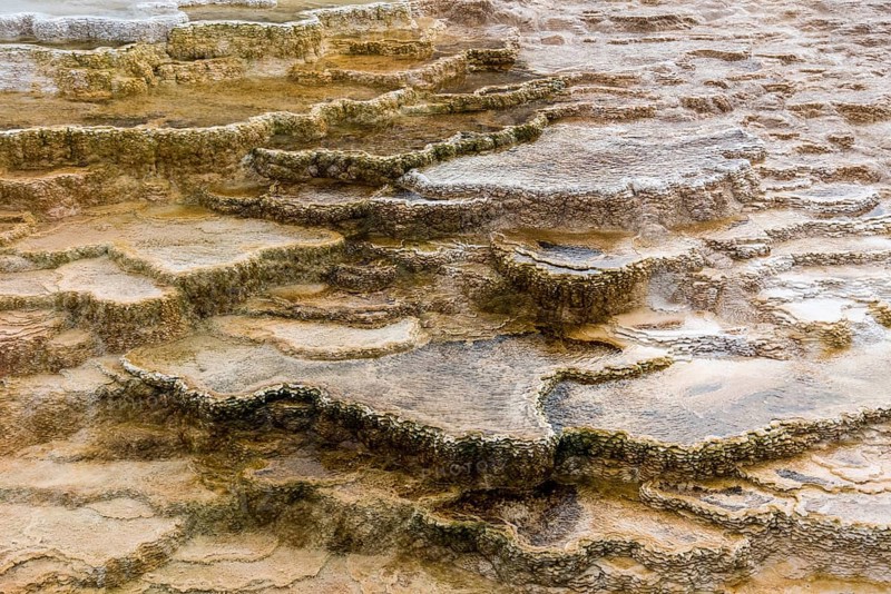 Scenic lifeless calcium terraces at Mammoth Hot Springs, Yellowstone National Park, USA, North America