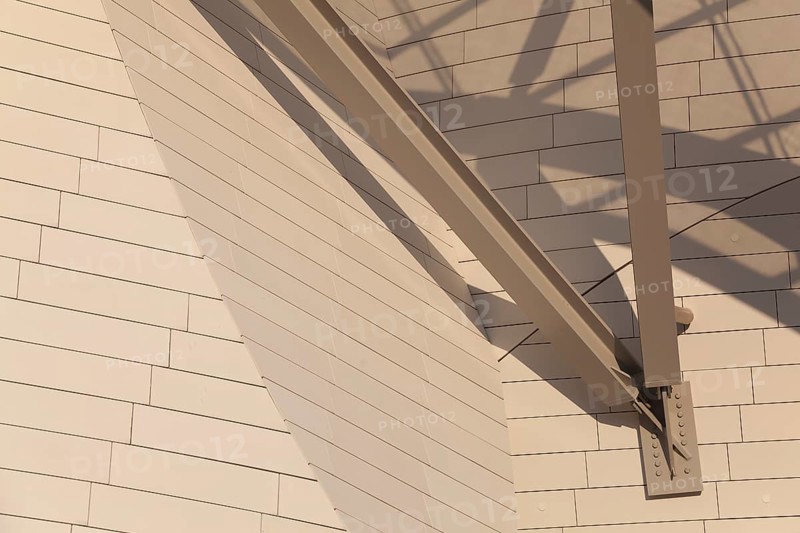 Louis Vuitton foundation, Bois de Boulogne, Paris, Ile-de-France, France, Europe