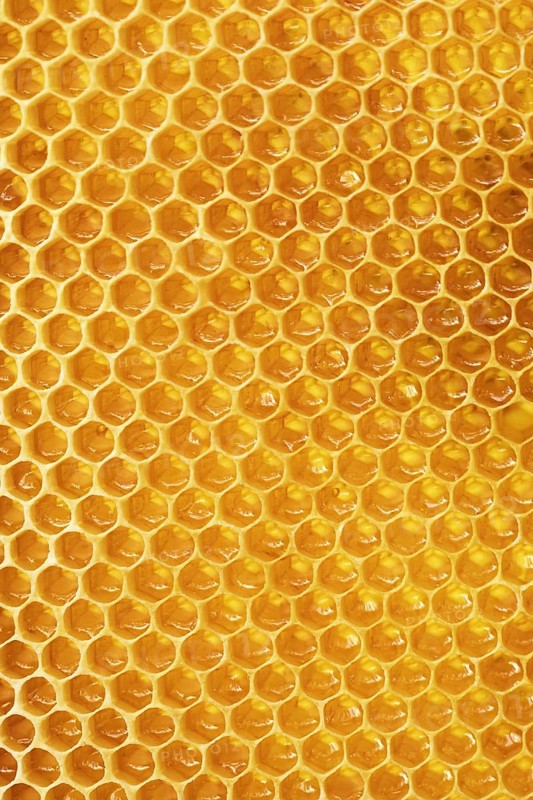 Honey with honeycombs in cells, background of bee frames, shine of honey in the sun