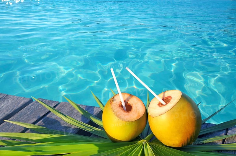 Coconuts cocktail palm tree leaf in Caribbean tropical sea