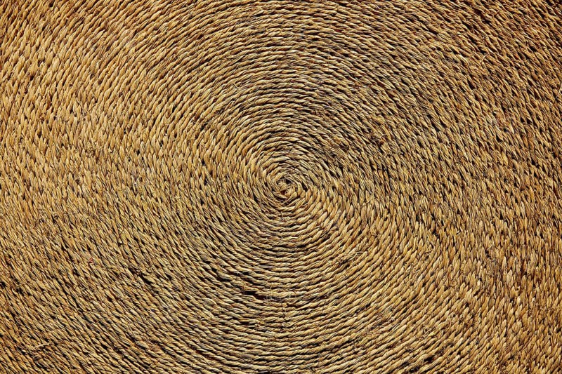 Esparto halfah grass used for crafts as cords basketry and espadrilles