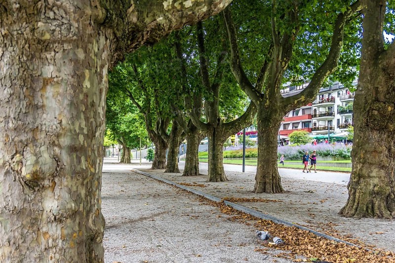 The famous Town Koblenz in Germany has many interesting sightseeing places