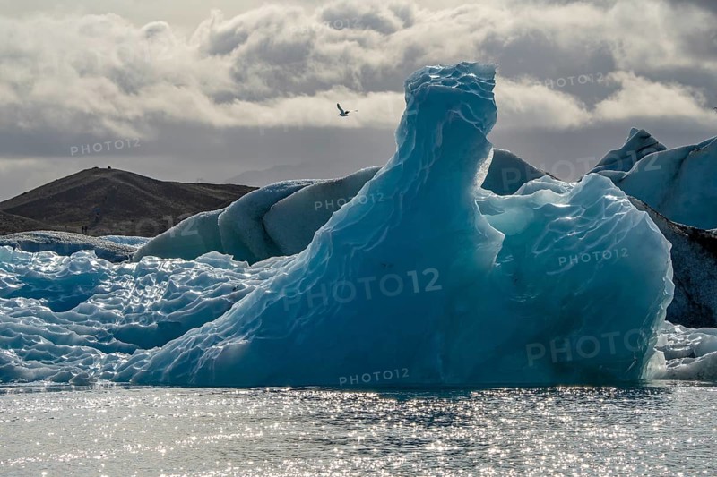 Icebergs and seagulls, Jökulsárlón, Suðurland, Iceland, Europe
