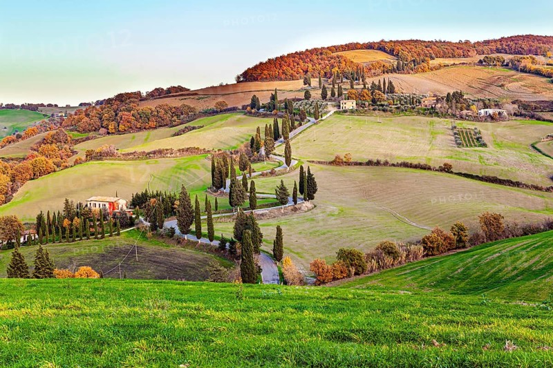 Italy. Sunset. Slender cypress trees adorn and frame the roads. Wonderful warm sunny day in late autumn. Trip to a magical land was a success! Picturesque hills, gardens and vineyards of Tuscany