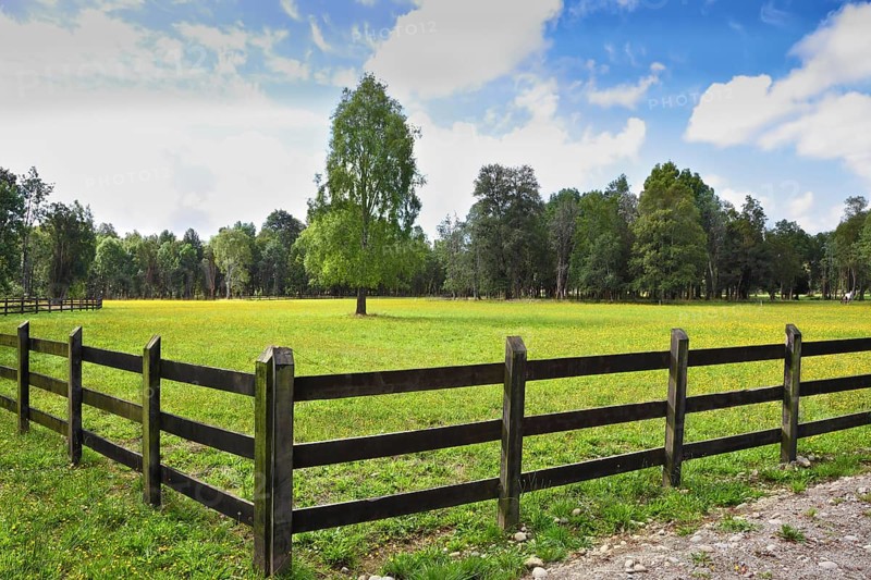 The green grassy rural field fenced with a low strong fence