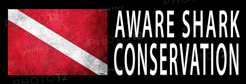 Ware Shark Conservation, Diver Down Flag, Scuba flag, Scuba Diving