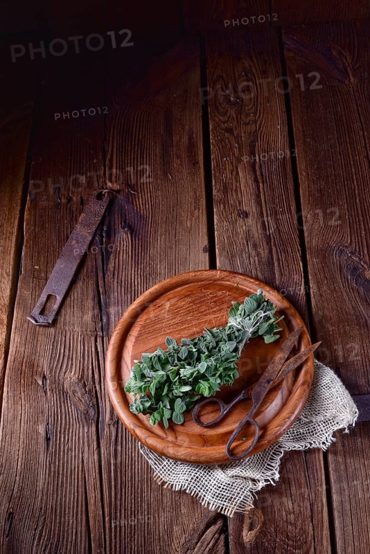 Aromatic oregano (Origanum vulgare)