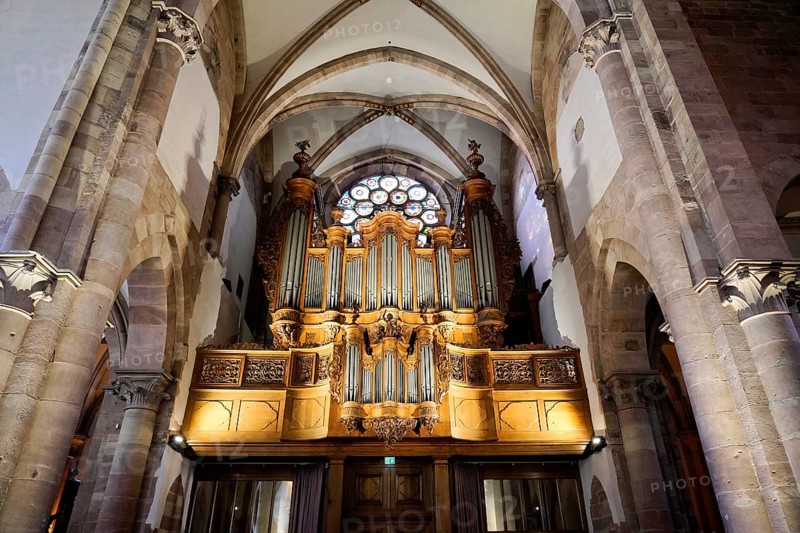 The Lutheran Church of St Thomas, Église Saint Thomas de Strasbourg, Alsace, Large church organ with impressive rose window and Gothic arches, atmospheric lighting, Strasbourg, Strasbourg, Bas-Rhin, Alsace, Alsace, France, Europe