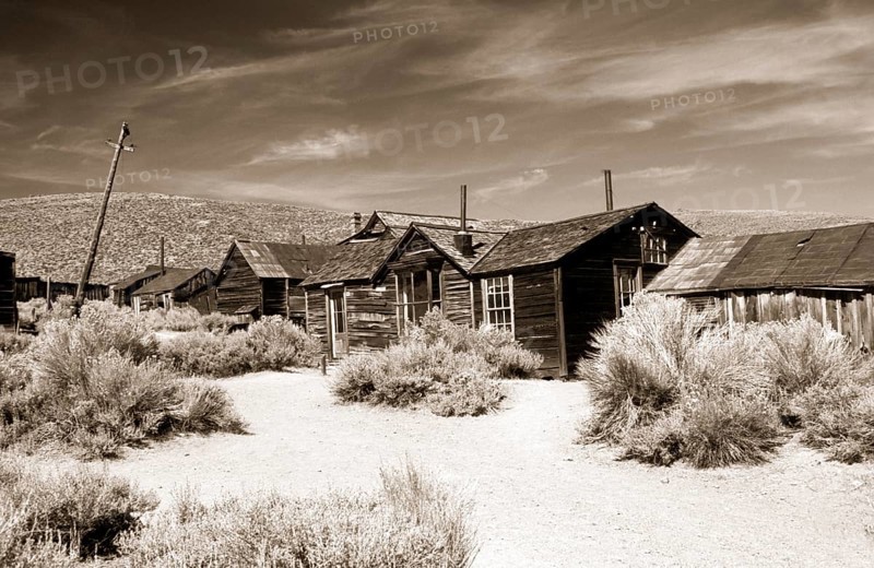 A dusty path between thorny undergrowth leads to poor wooden houses and crooked lamp posts in the former gold mining town of Bodie. Photo in sepia tones. A dusty path between thorny shrubs leads to wretched wooden houses and crooked light masts in the former gold mining town Bodie. Photo in sepia tone