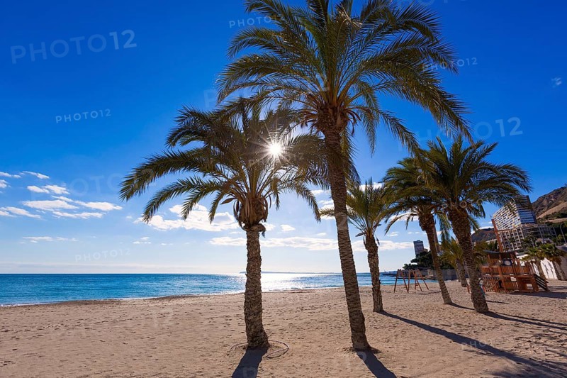 Alicante San Juan beach of La Albufereta with palms trees in Mediterranean Spain